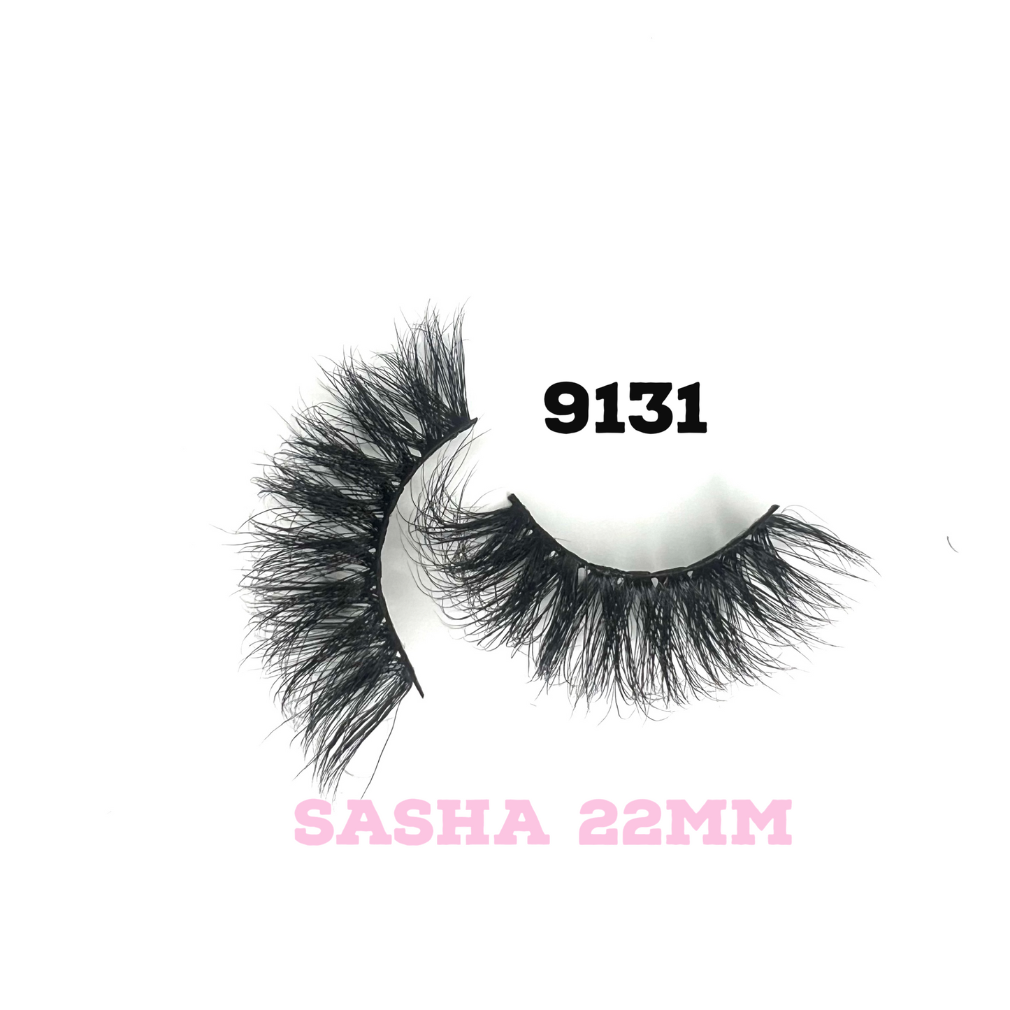 9131-SASHA