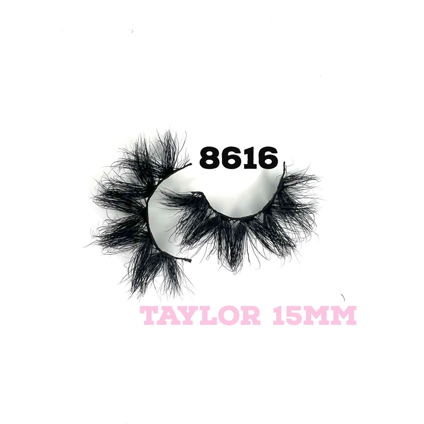 8616-TAYLOR